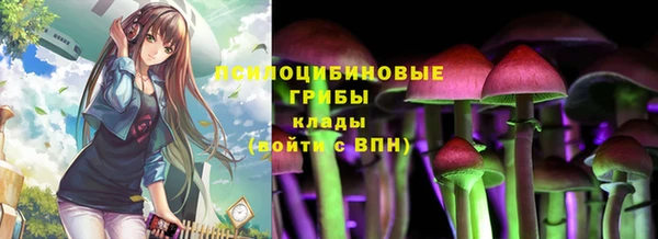 скорость Каменногорск
