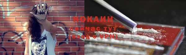 дурь Туринск